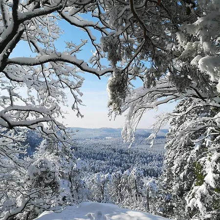 בית נופש La Lisiere Sparsbach